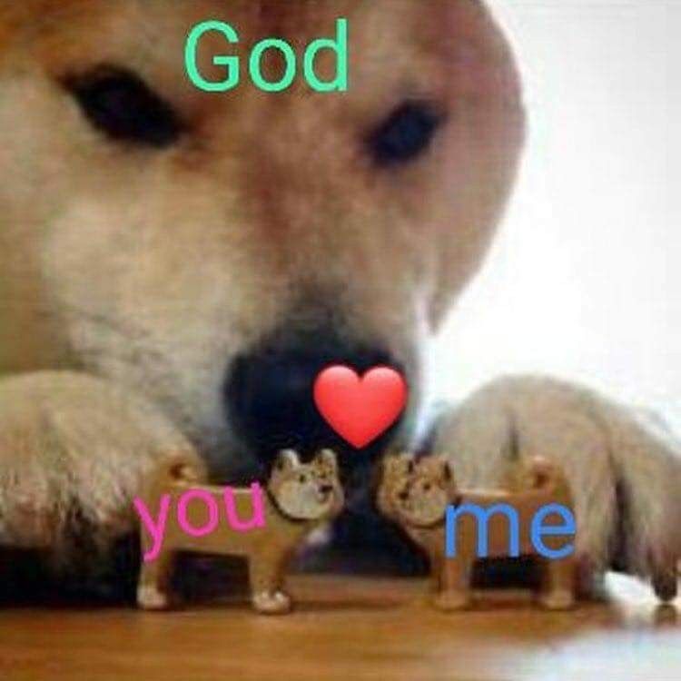 Funny Dog Meme: Doge Cupid Creates Divine Love Connection