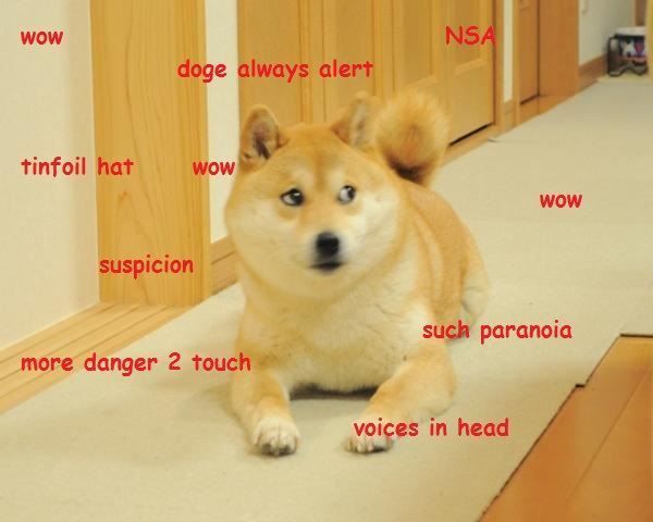Funny Dog Meme: Alert Doge Side Eye Meme