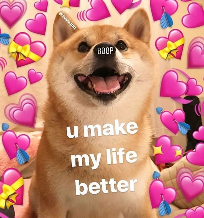 Funny Dog Meme: Doge Love Meme To Warm Your Heart