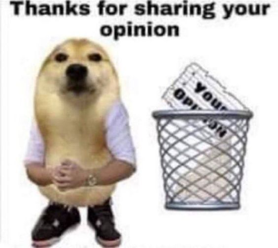 Funny Dog Meme: Doge’s Reaction To Your Opinion