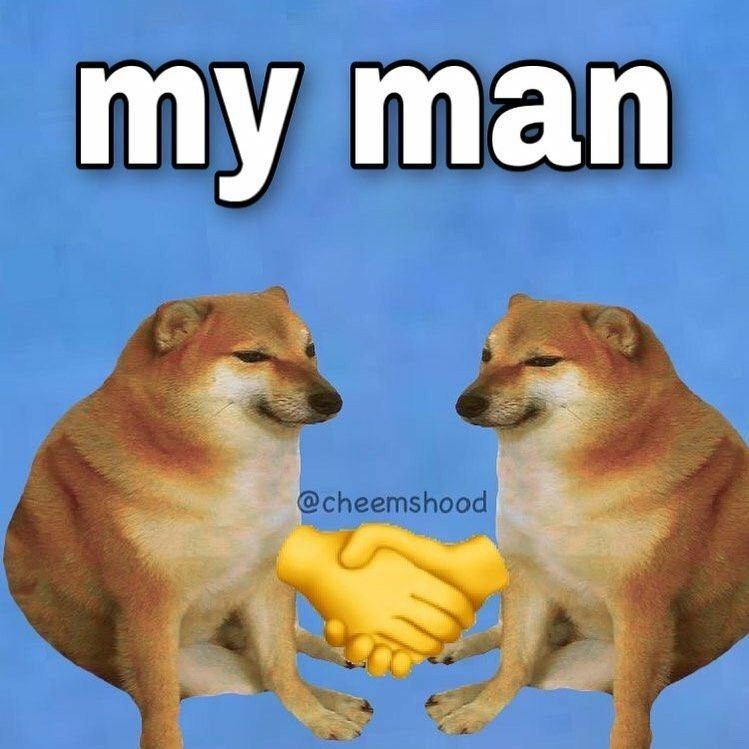 Funny Dog Meme: The Doge Brotherhood 