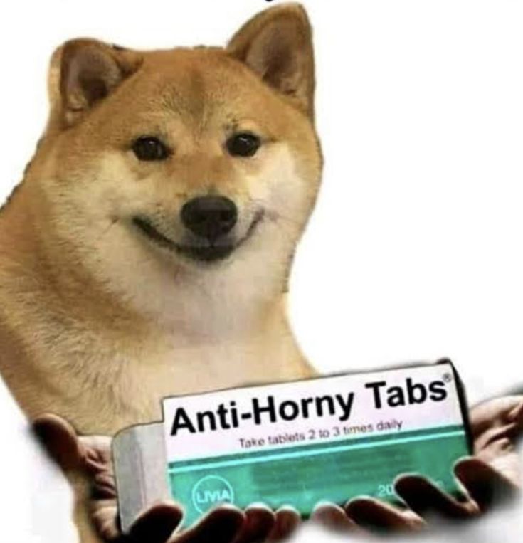 Funny Dog Meme: Doge’s Anti-Horny Remedy