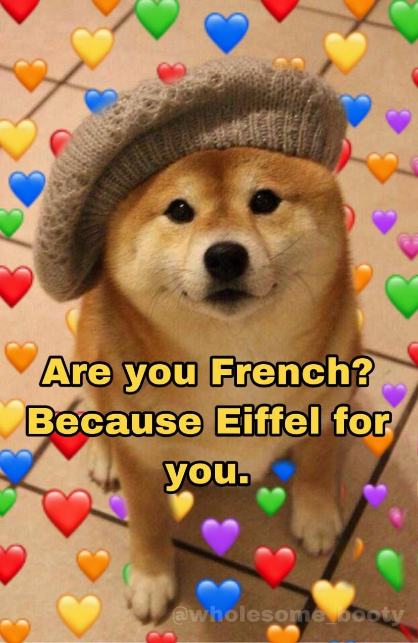 Funny Dog Meme: Doge's French Love Humour