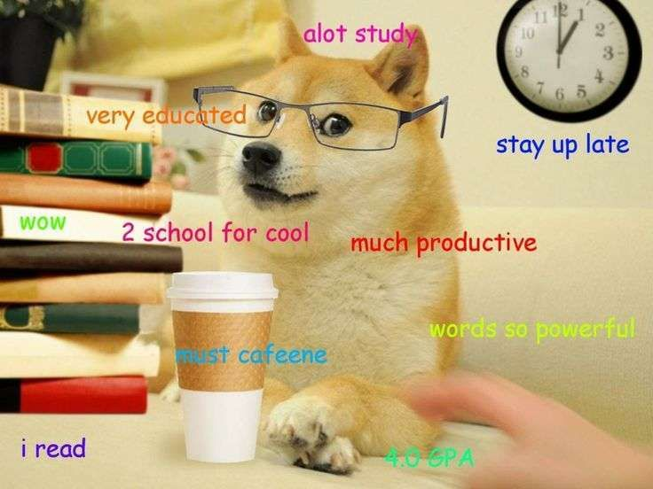 Funny Dog Meme: Doge’s Relatable Study Struggles and Motivation