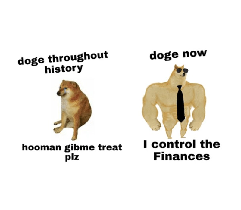 Funny Dog Meme: Cheems vs Buff Doge - Evolution of Power