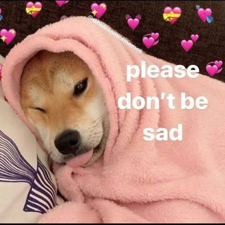 Funny Dog Meme: Wholesome Doge Wishing Good Vibes